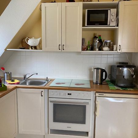 Terrassenwohnung Neustadt an der Weinstraße 外观 照片