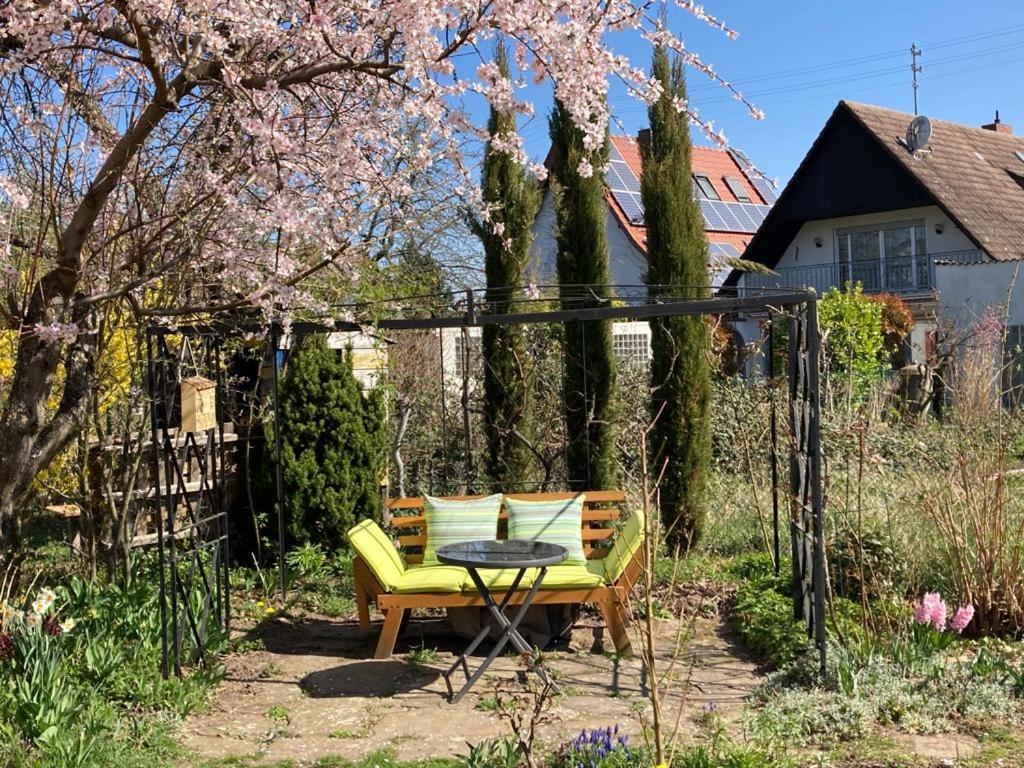 Terrassenwohnung Neustadt an der Weinstraße 外观 照片