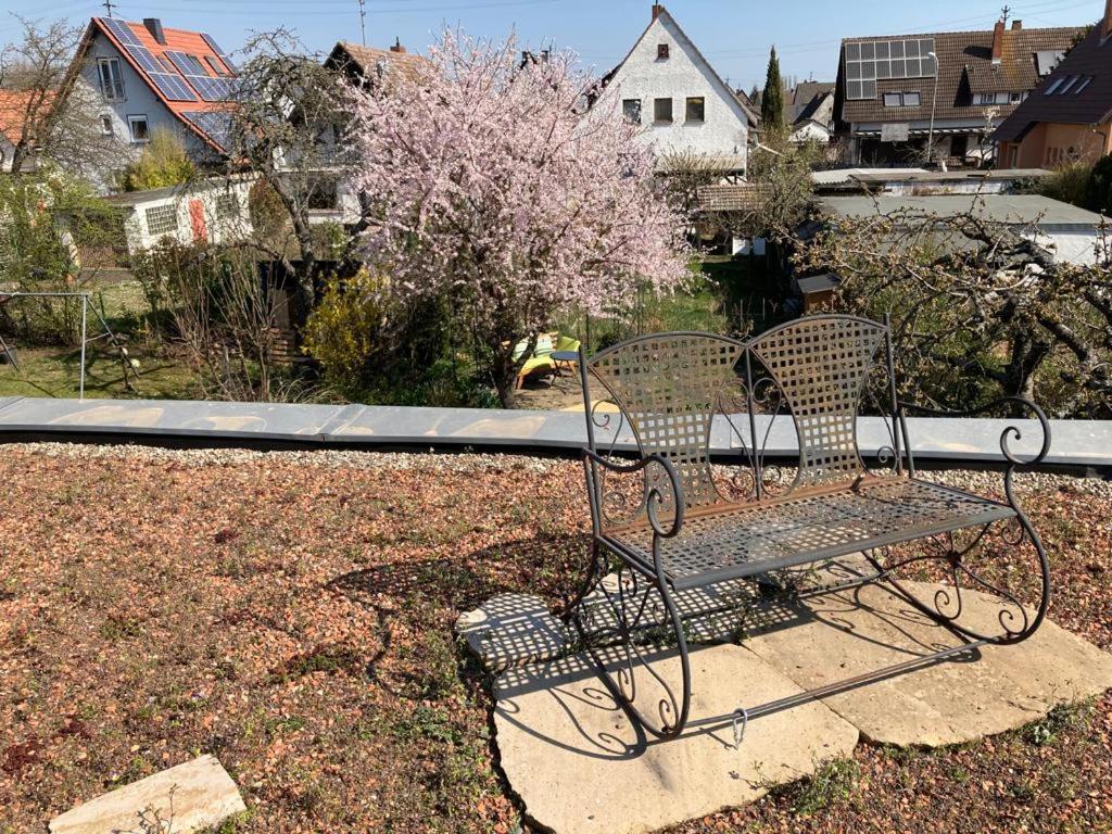 Terrassenwohnung Neustadt an der Weinstraße 外观 照片