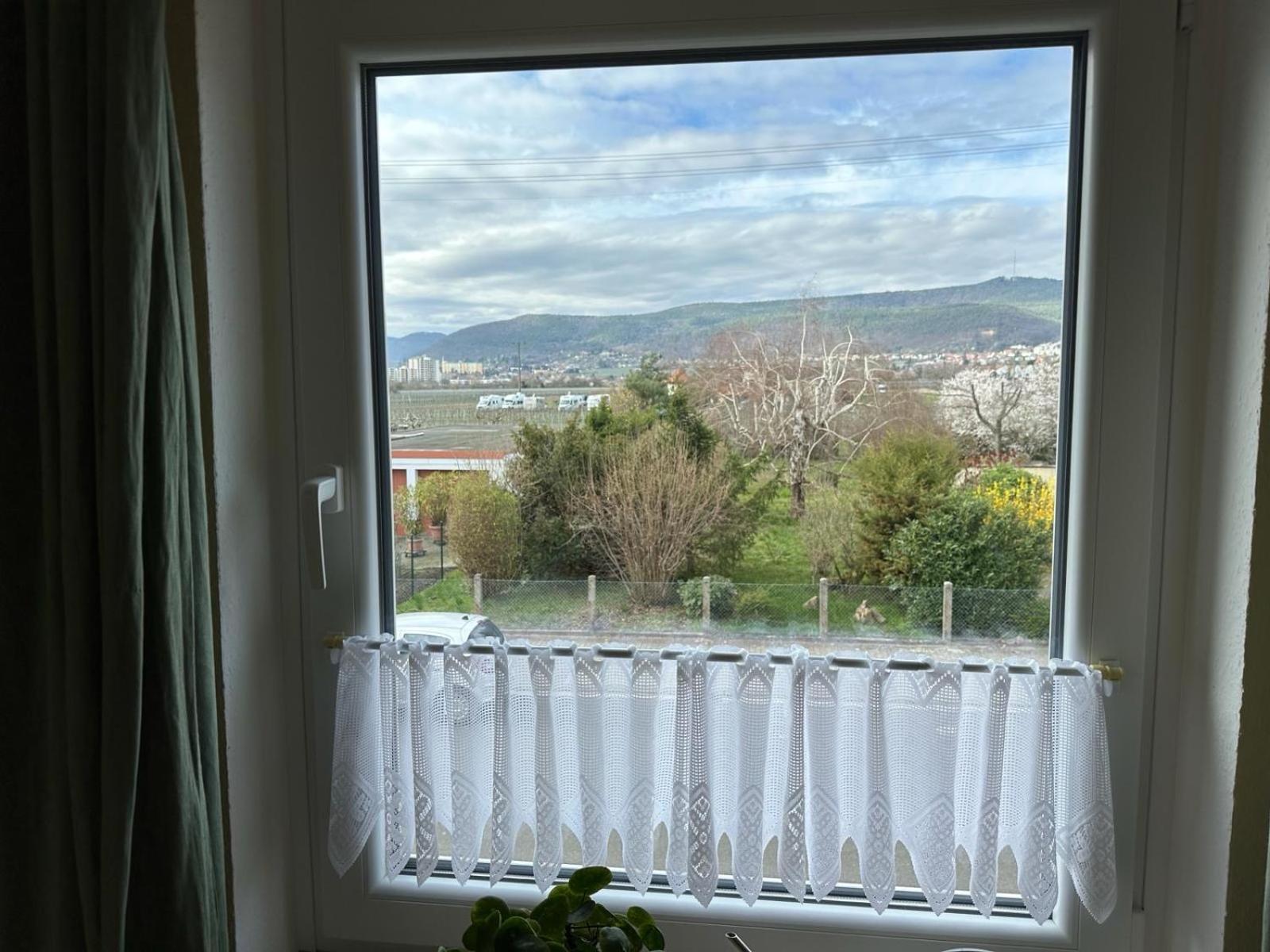 Terrassenwohnung Neustadt an der Weinstraße 外观 照片